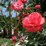 Paradise Garden Evleri Gumusluk