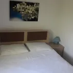 Aparthotel Paradise Garden Evleri