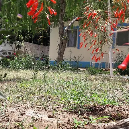 Apart Otel Paradise Garden Evleri 3*