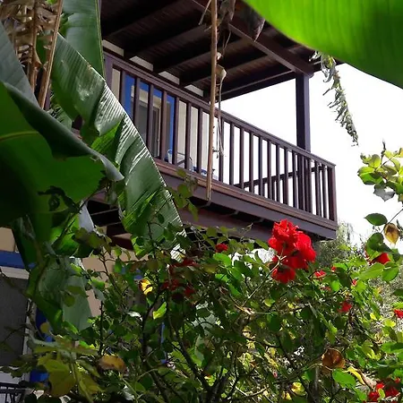 Apart Otel Paradise Garden Evleri Gümüşlük