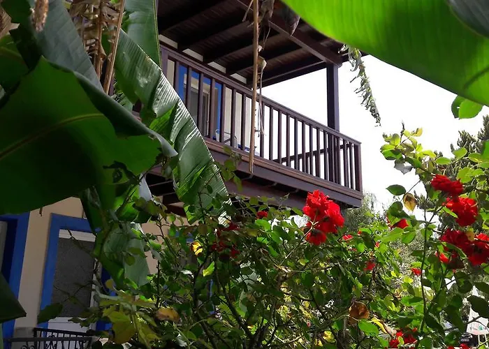 Hotel apartamentowy Paradise Garden Evleri Gümüşlük
