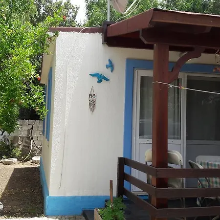 Paradise Garden Evleri