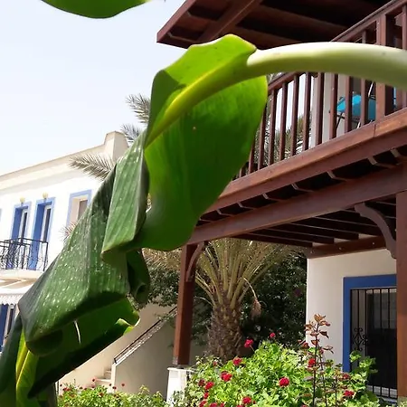 Paradise Garden Evleri