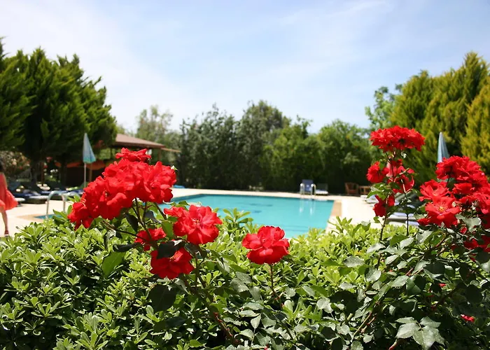 Paradise Garden Gümüşlük